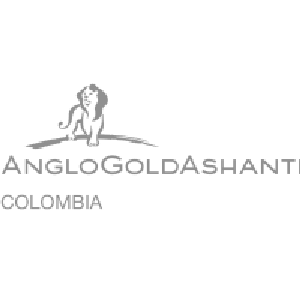 About 5 Logo AngloGold